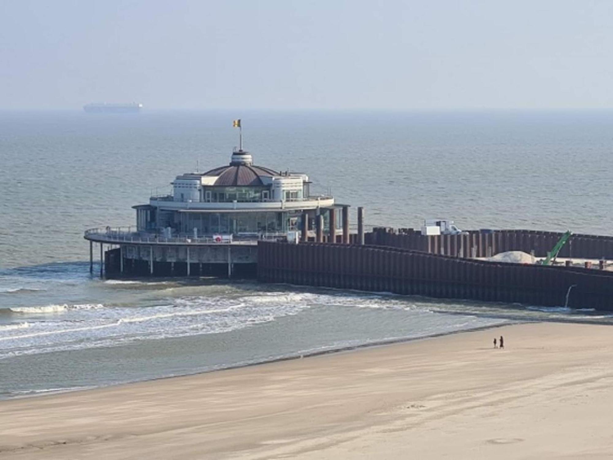 Pet-friendly In Blankenberge